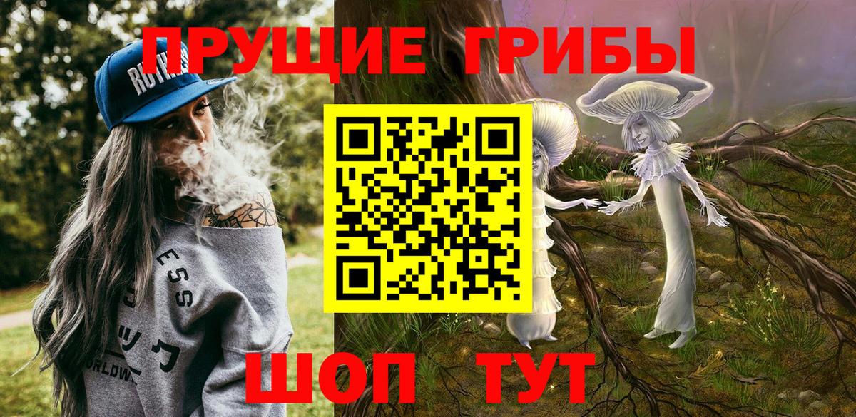 Кулебаки  Псилоцибиновые грибы мухоморы  Псилоцибиновые грибы прущие грибы  Вход с VPN 
